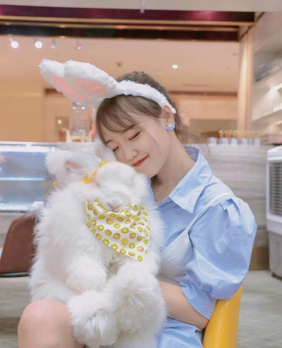 影響長毛兔種兔繁殖力的5大主要因素